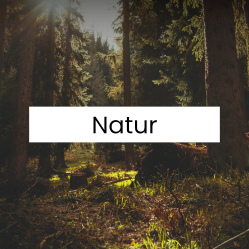 Kategorie - Natur